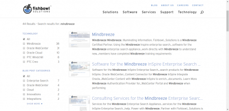 Screenshot Website Search